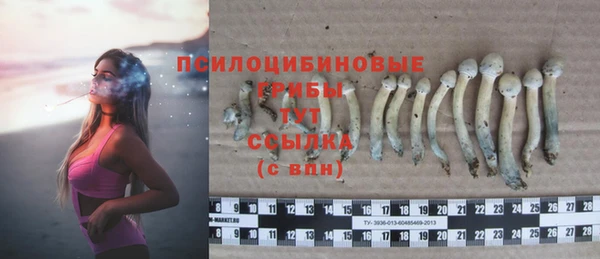 индика Абдулино