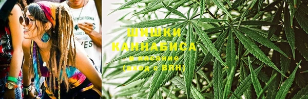 индика Абдулино