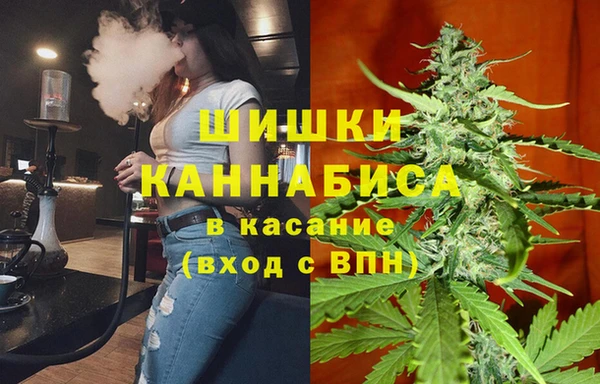 индика Абдулино