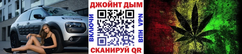 Шишки марихуана планчик Хасавюрт